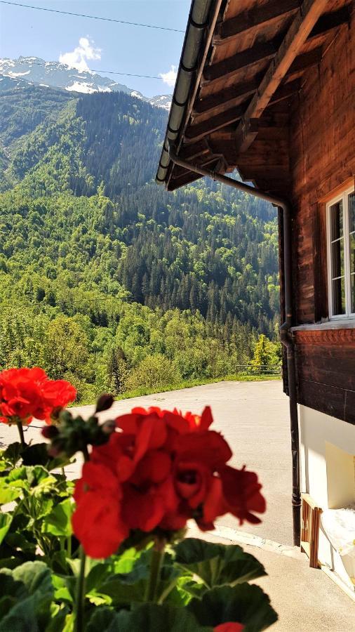 Bed and Breakfast Triftblick Gadmen Exterior foto